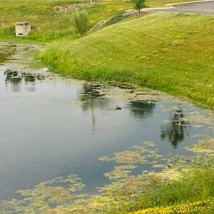 Meet your Posher, Aaliyah